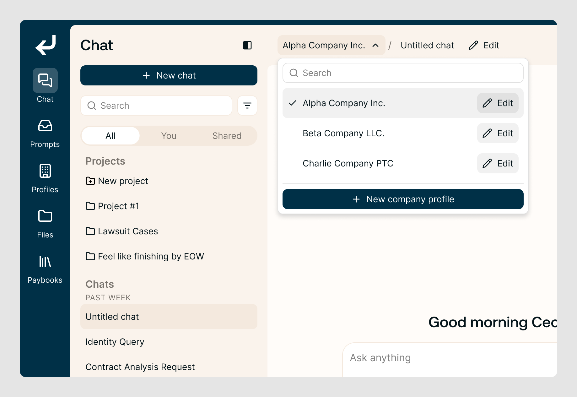 The workspace with the company-profile dropdown open, listing companies to switch between plus a New company profile button.